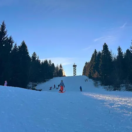 In Bayern Nahe Skilift Waldkirchen