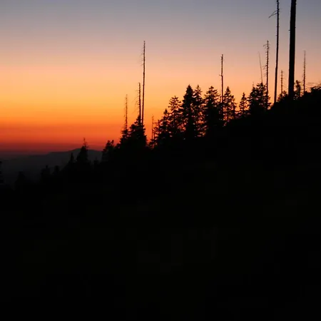 In Bayern Nahe Skilift * Waldkirchen